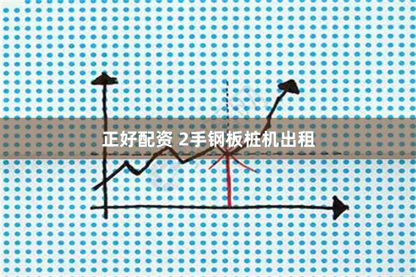 正好配资 2手钢板桩机出租