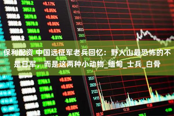 保利配资 中国远征军老兵回忆：野人山最恐怖的不是日军，而是这两种小动物_缅甸_士兵_白骨