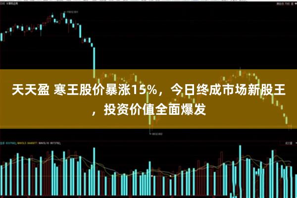 天天盈 寒王股价暴涨15%，今日终成市场新股王，投资价值全面爆发